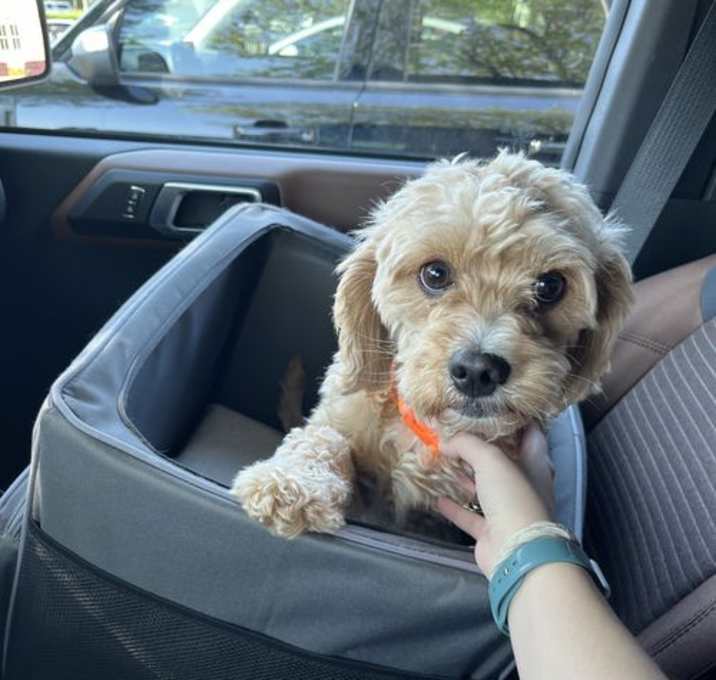 Photo of Bentley Mack