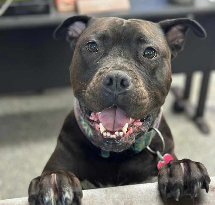 Photo of Gigi