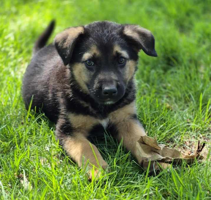 Photo of Knox
