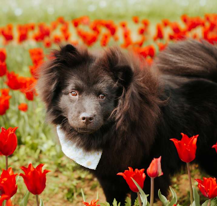 Photo of Ilona
