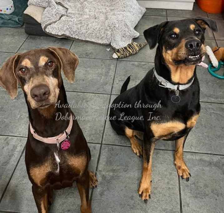 Photo of Mila 3293
