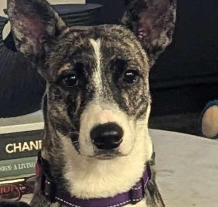 Photo of Nora