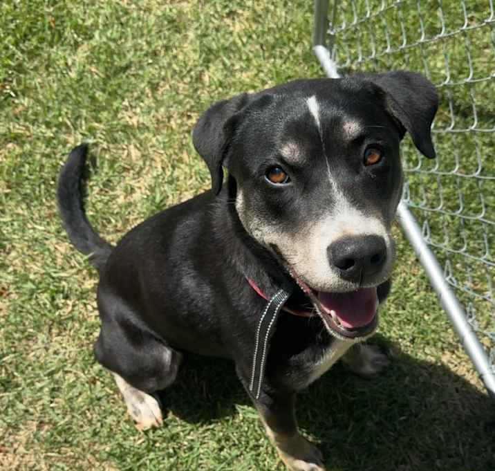 Photo of Charlie