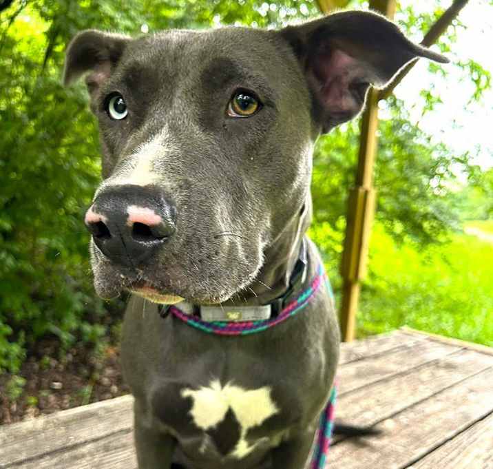 Photo of ANNIE