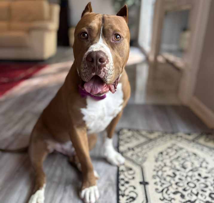 Photo of George