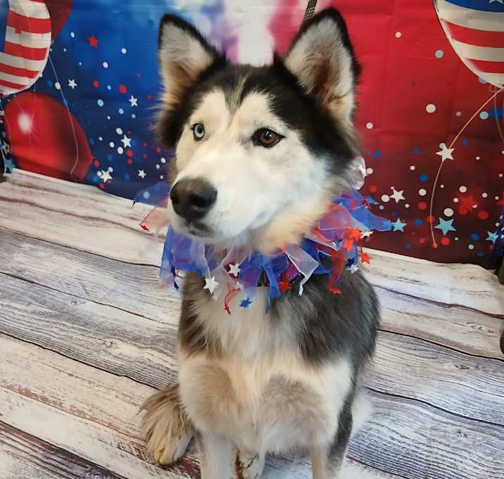 Photo of Suki