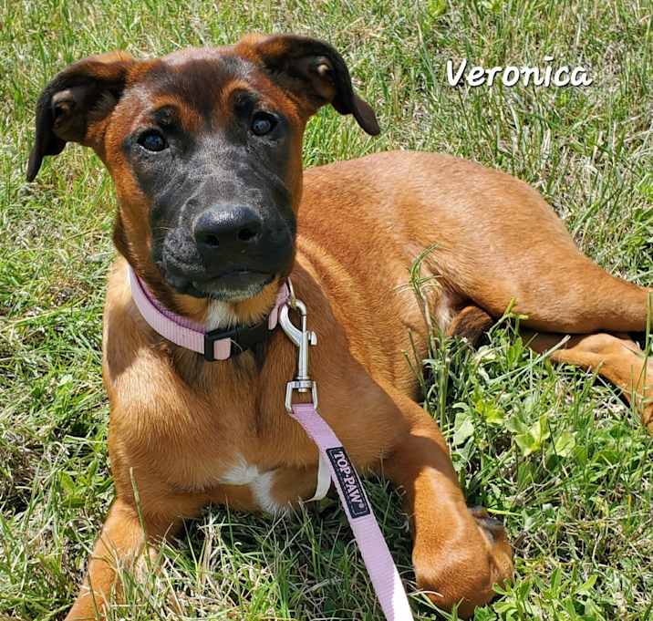 Photo of Veronica LK
