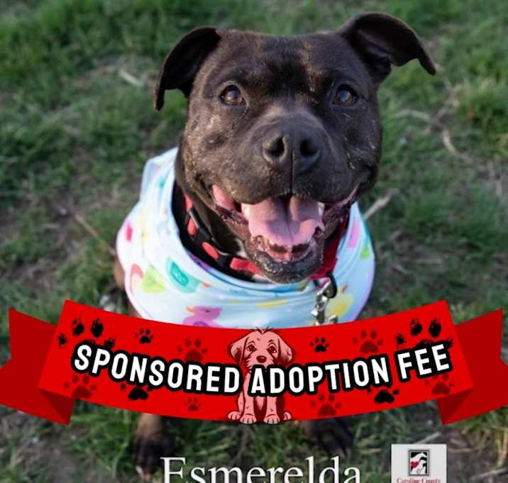 Photo of Esmerelda