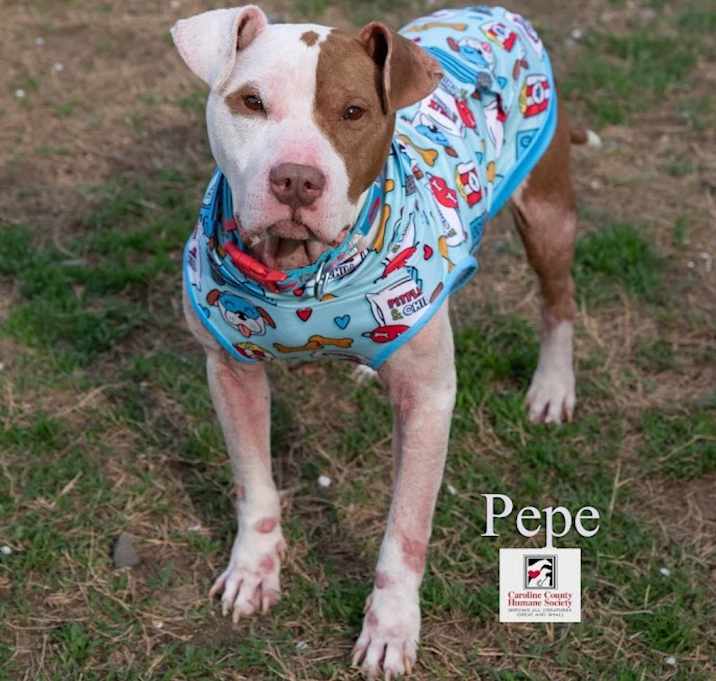 Photo of PePe