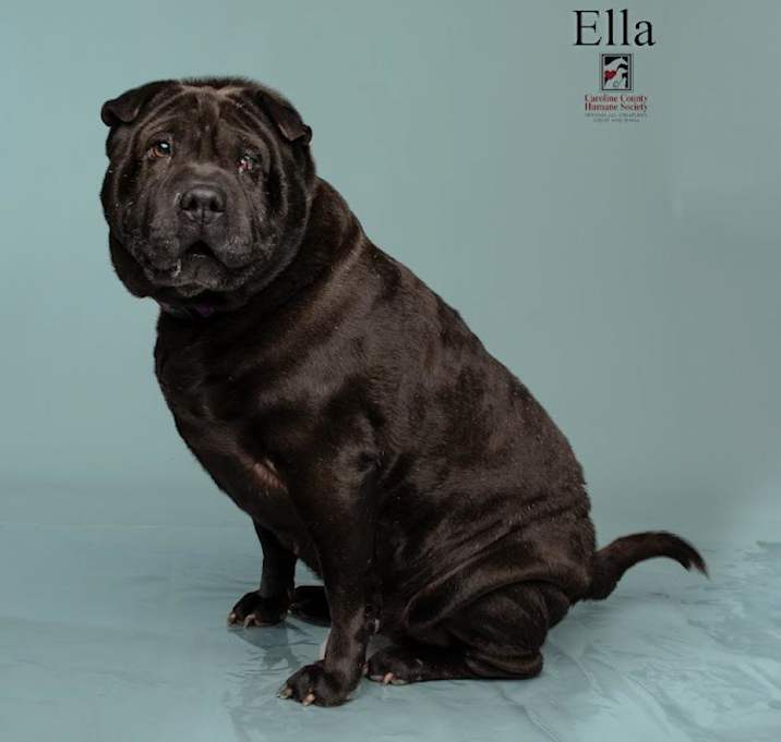 Photo of Ella