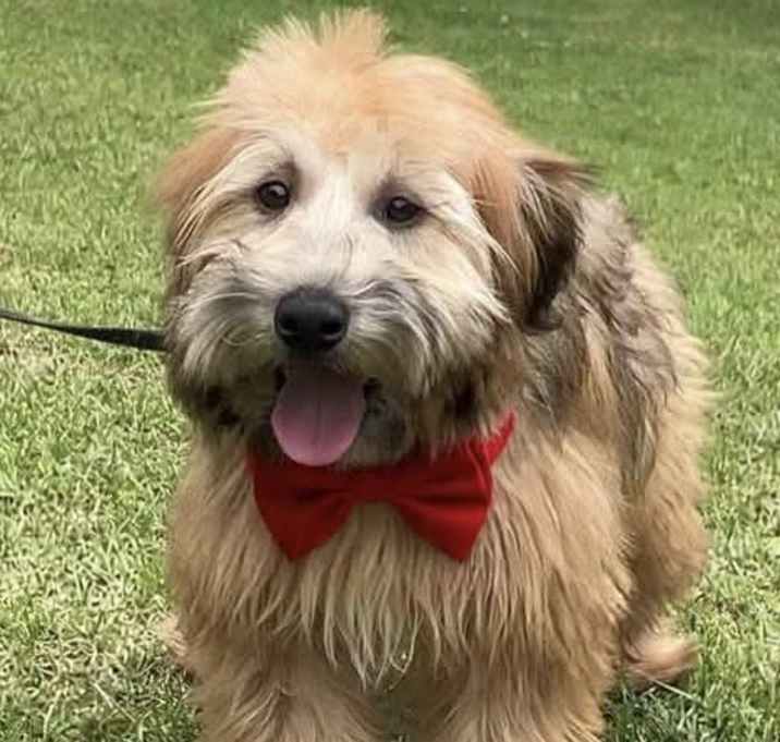 Photo of ROSY