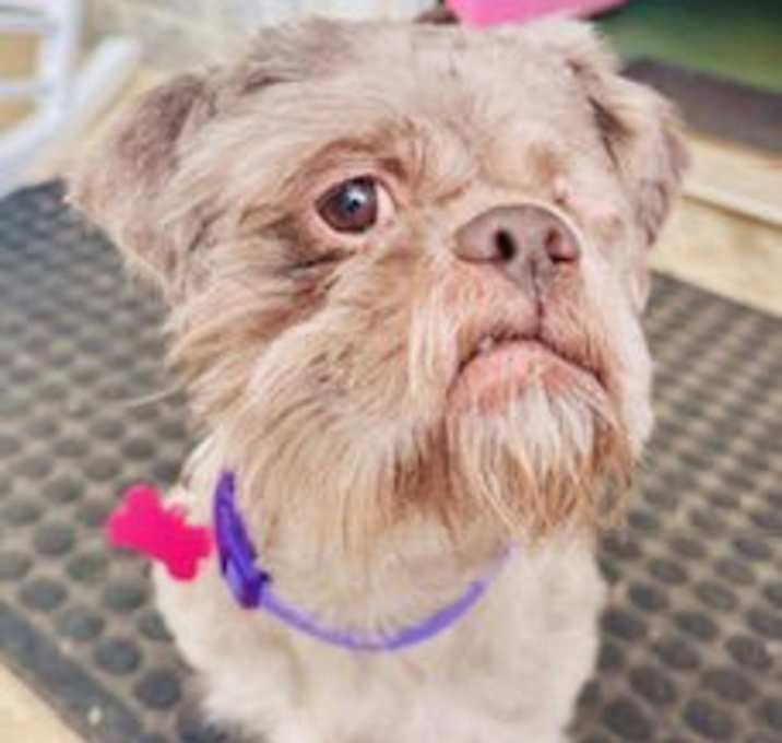 Photo of Popeye
