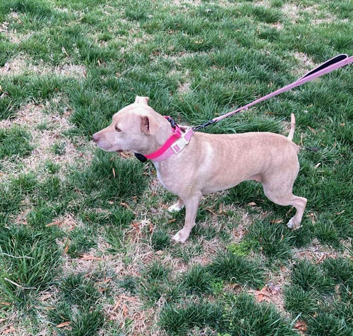 Photo of Lucy