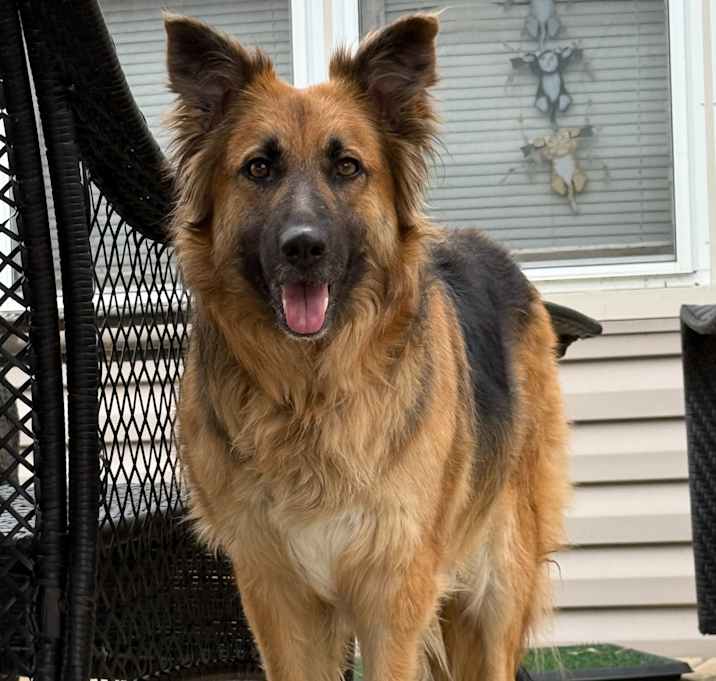 Photo of Holly