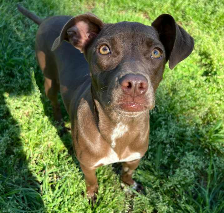 Photo of Betty 