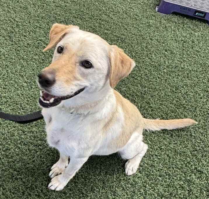 Photo of Sadie Elsie