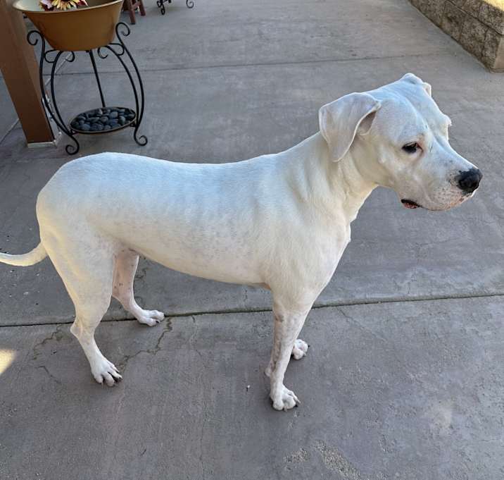 Photo of Luna