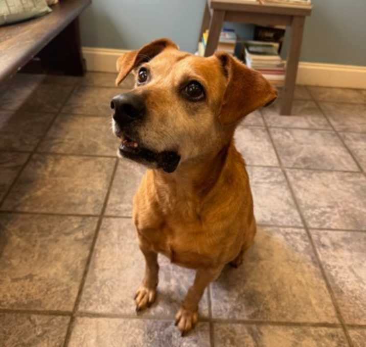 Photo of SIMBA