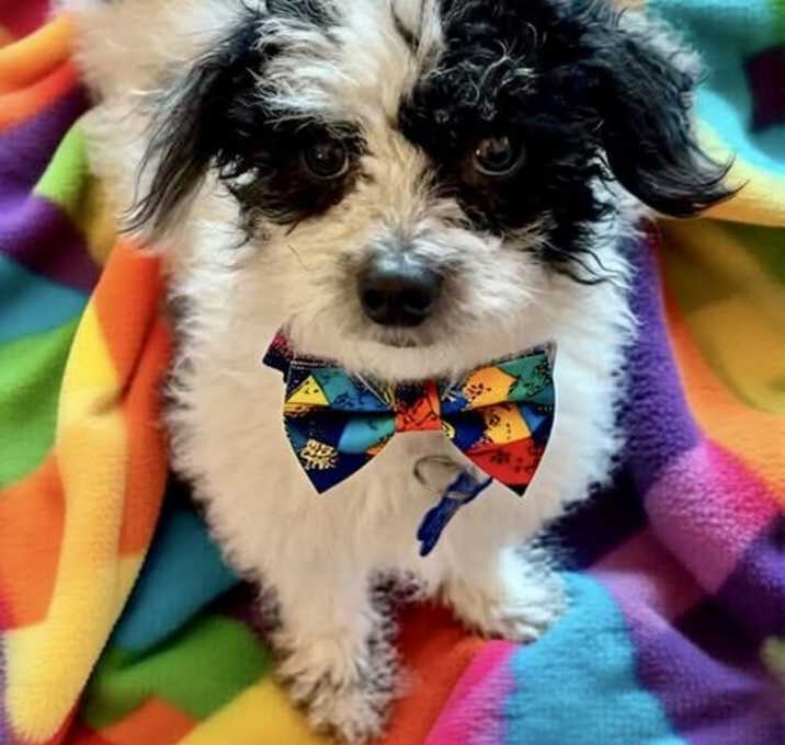 Photo of Pepe Pablo