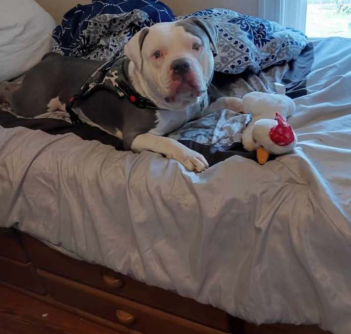 Photo of Jack