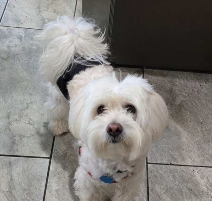 Photo of Benny