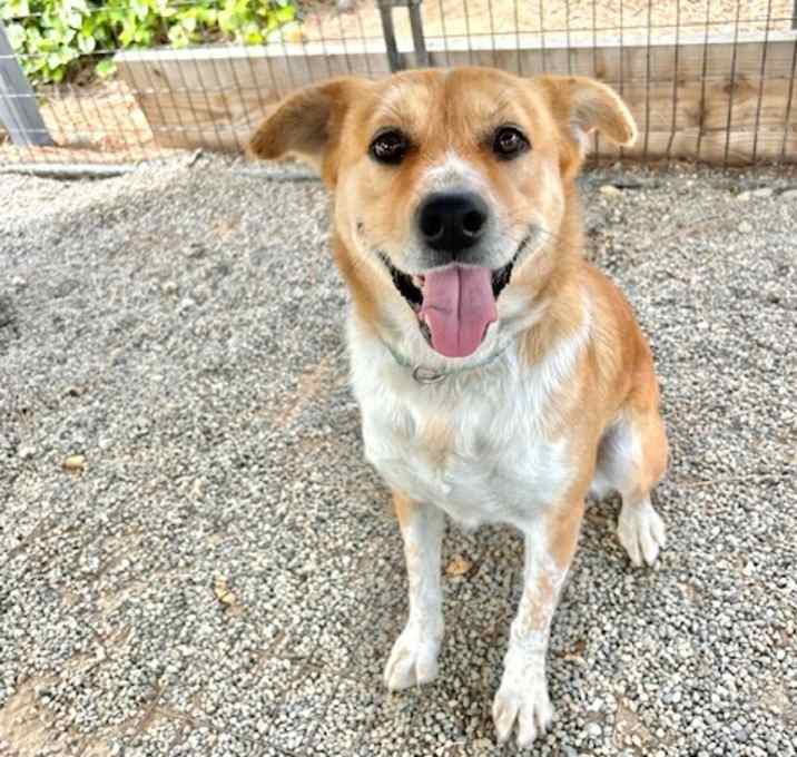 Photo of Hope