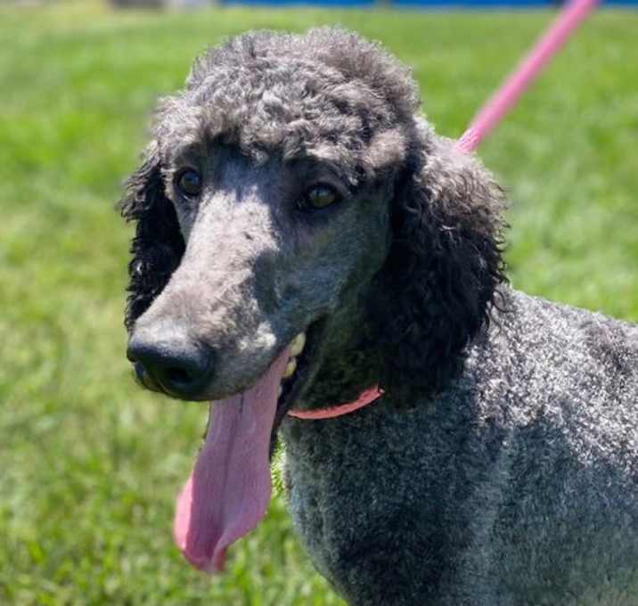 Photo of Violet May 25