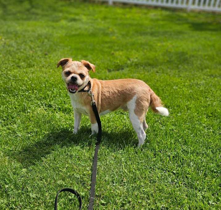 Photo of Tommy