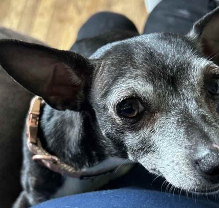 Photo of Maizey Mae