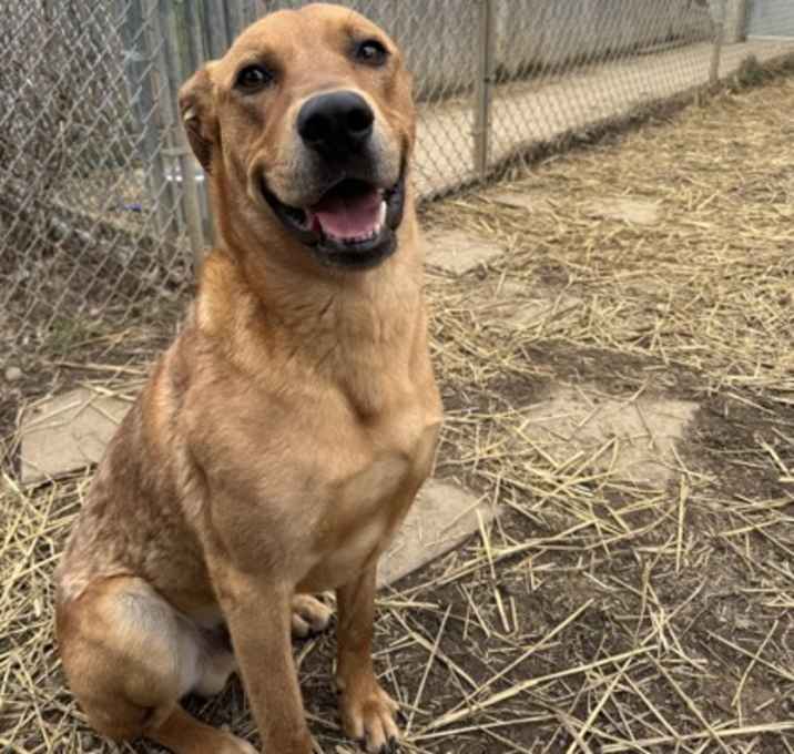 Photo of Cherokee
