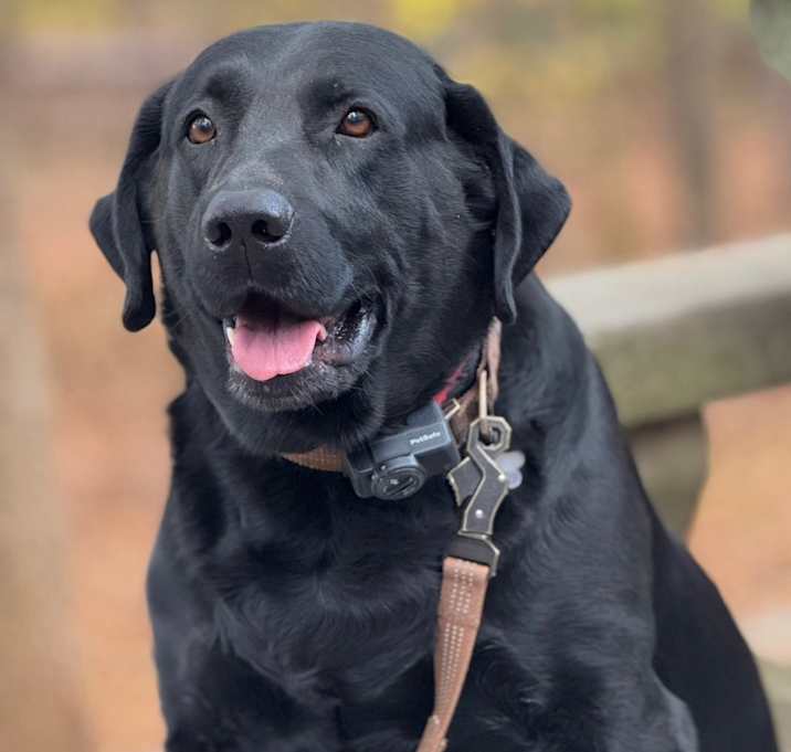 Photo of Walker