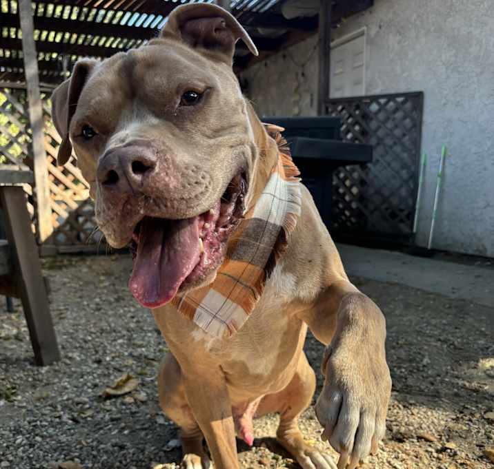 Photo of JAXX