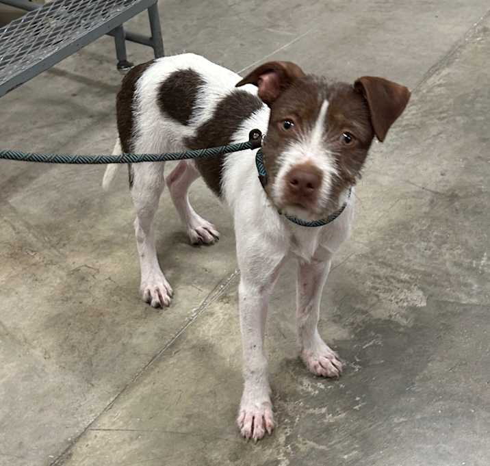 Photo of Toby JD