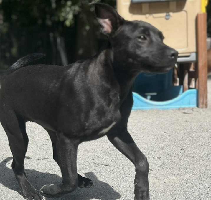 Photo of Jasmine