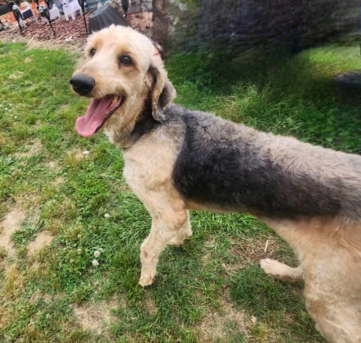 Photo of Polly