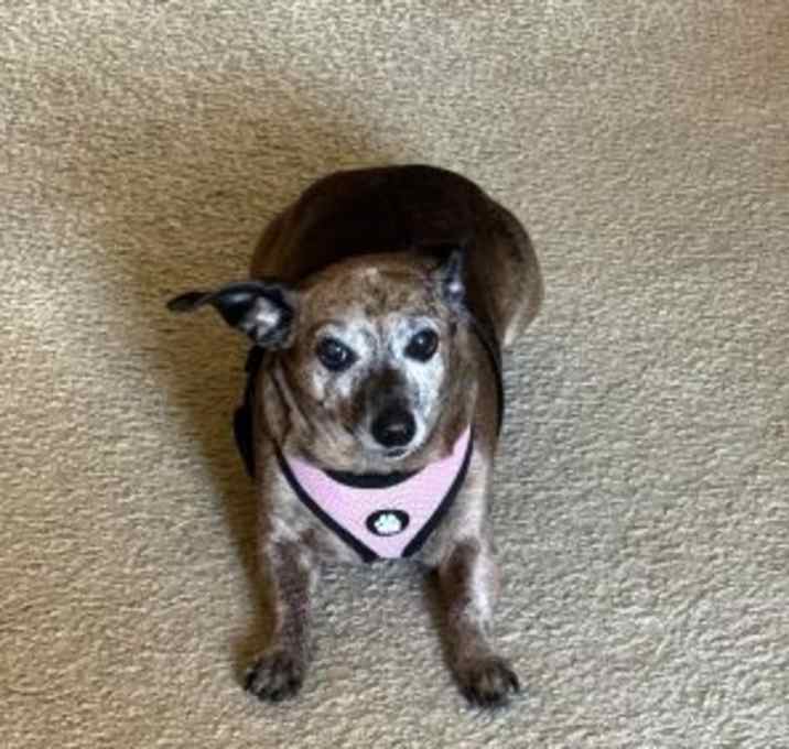 Photo of Brynn