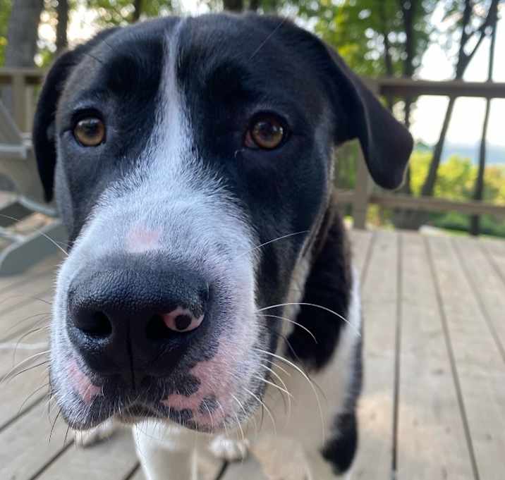 Photo of Moe