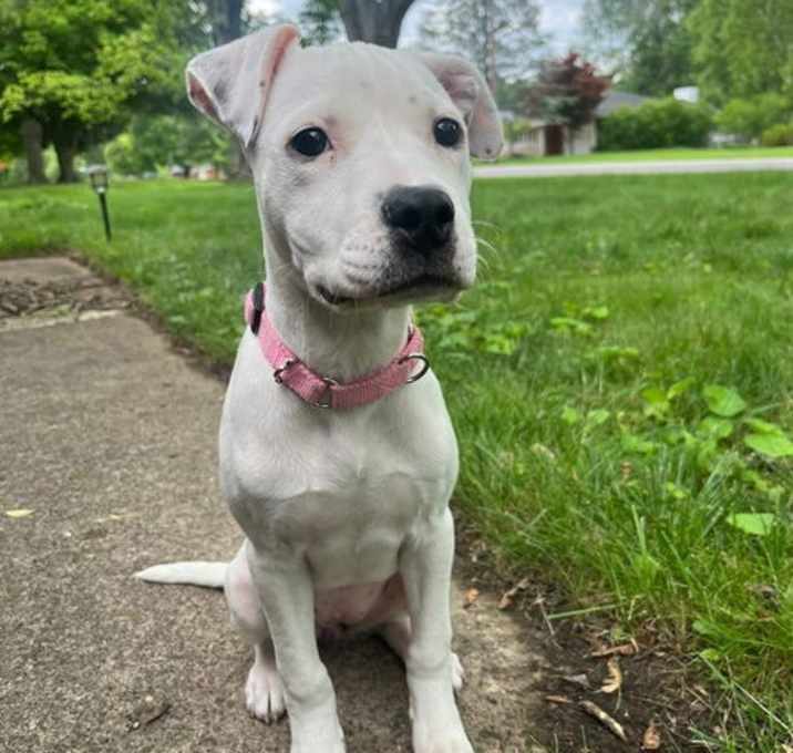 Photo of Pinky Peep