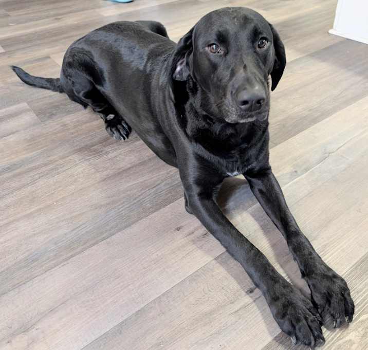 Photo of Roxie