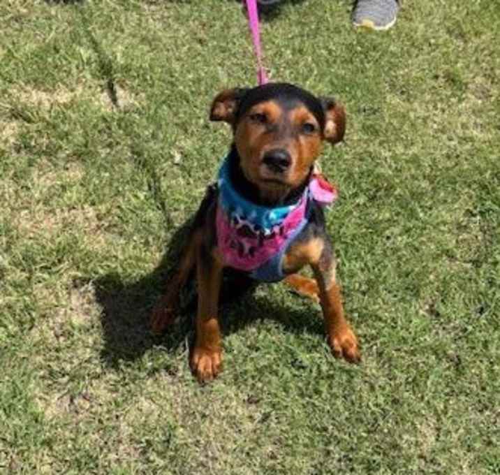 Photo of Layla/Lainey