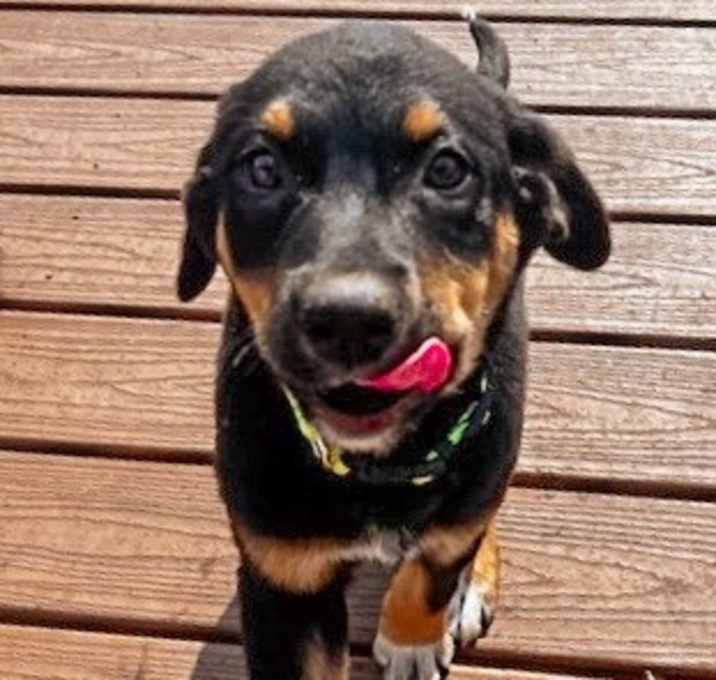 Photo of Teagan