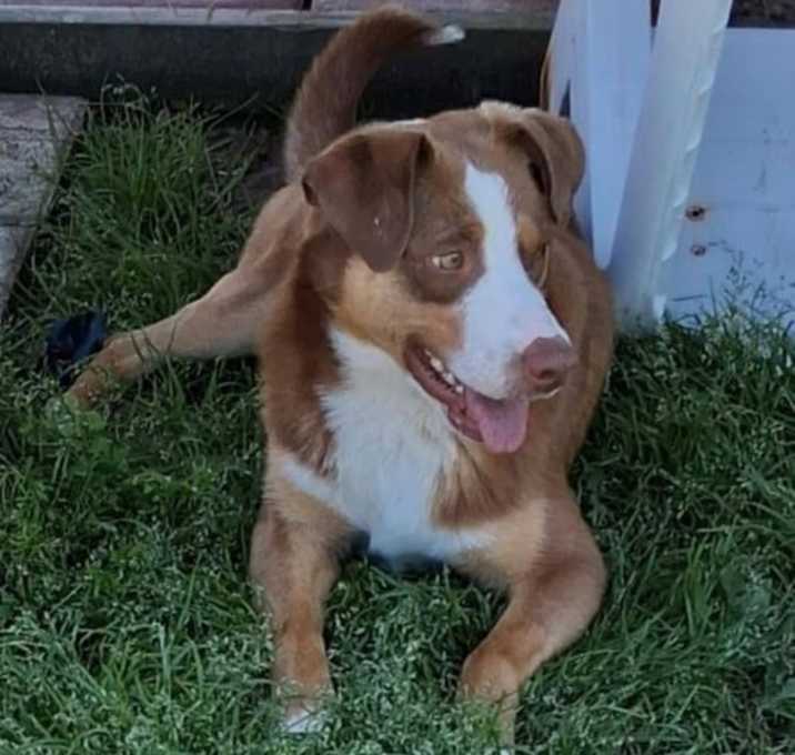 Photo of Jak