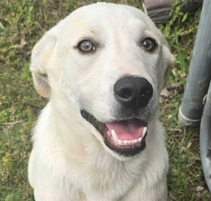 Photo of Casper