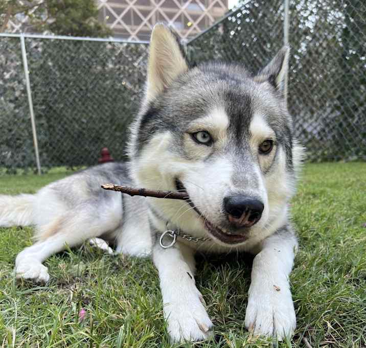 Photo of Ghost