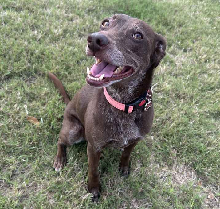 Photo of Coco