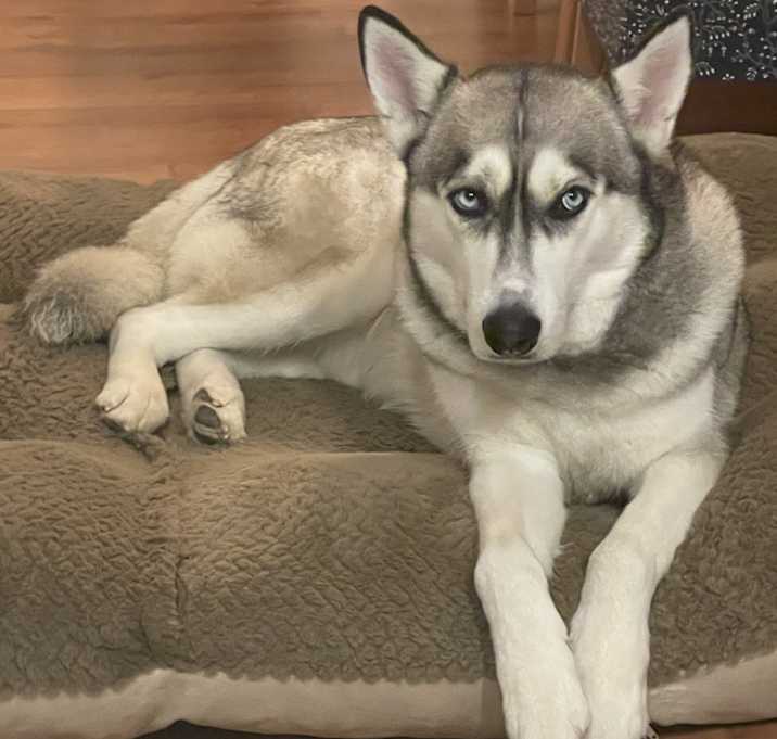 Photo of Bruce