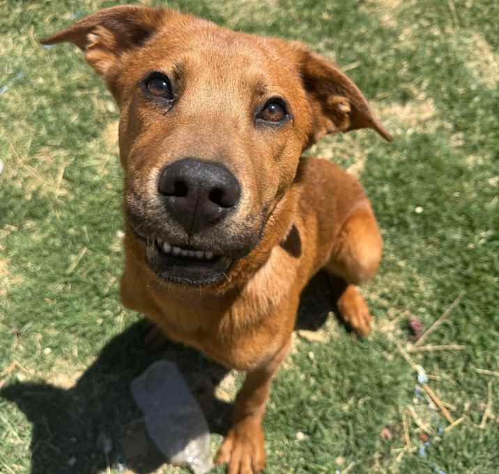 Photo of rocket