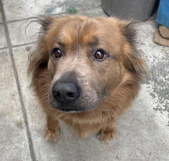 Photo of Oso
