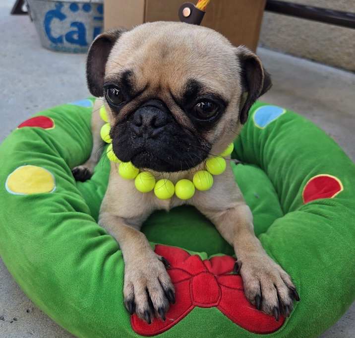 Photo of Kimmie