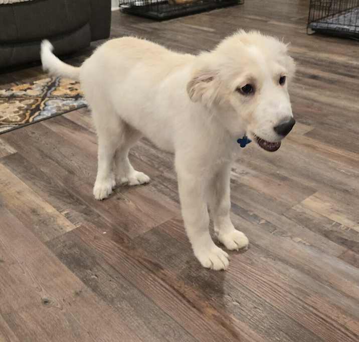 Photo of Teddy